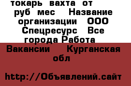 токарь. вахта. от 50 000 руб./мес. › Название организации ­ ООО Спецресурс - Все города Работа » Вакансии   . Курганская обл.